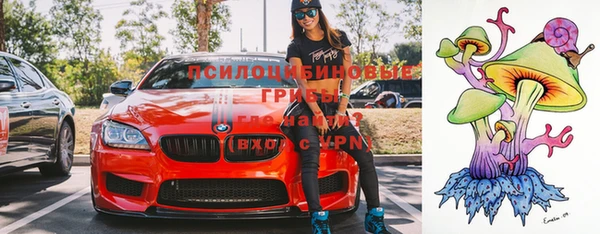 прущая мука Абаза
