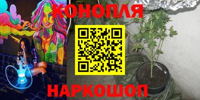 СК Краснодар