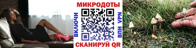 Галлюциногенные грибы Cubensis  Костомукша 