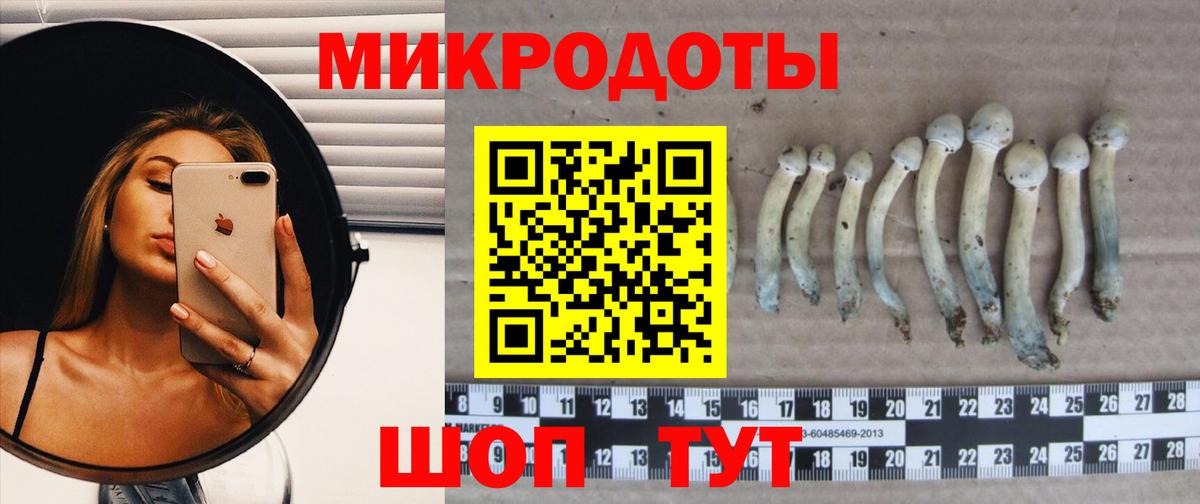 Псилоцибиновые грибы Cubensis Костомукша
