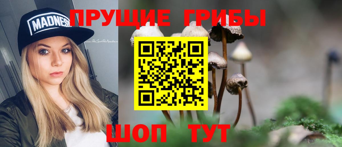 Галлюциногенные грибы MAGIC MUSHROOMS  Вход с VPN  Псилоцибиновые грибы Psilocybe  Костомукша 